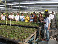 ទីក្រុងហូជីមិញបញ្ចូនកសិករទៅបរទេសដើម្បីរៀនសូត្របទពិសោធន៍